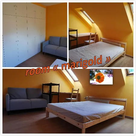 民宿 Homestay - Calm And Bright - Queen-size Bed 新鲁汶